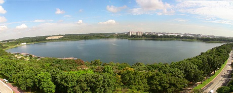 Tampines Quarry nesr THe Tapestry by CDL